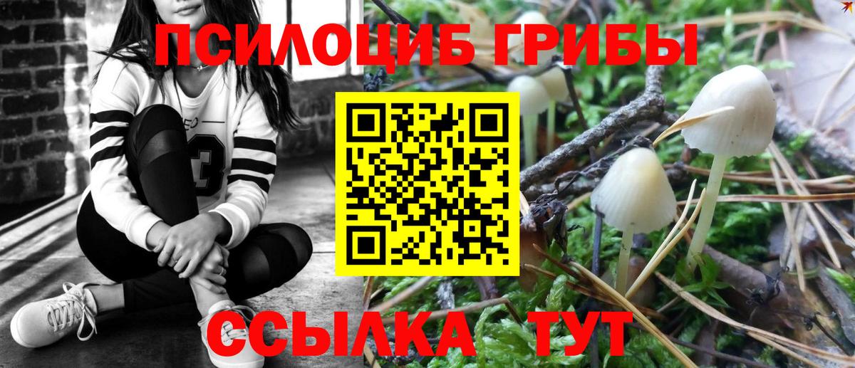 Галлюциногенные грибы мицелий Мариинск